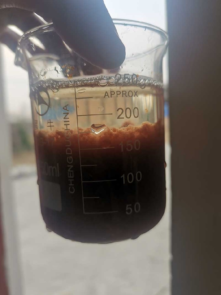 现场照片
