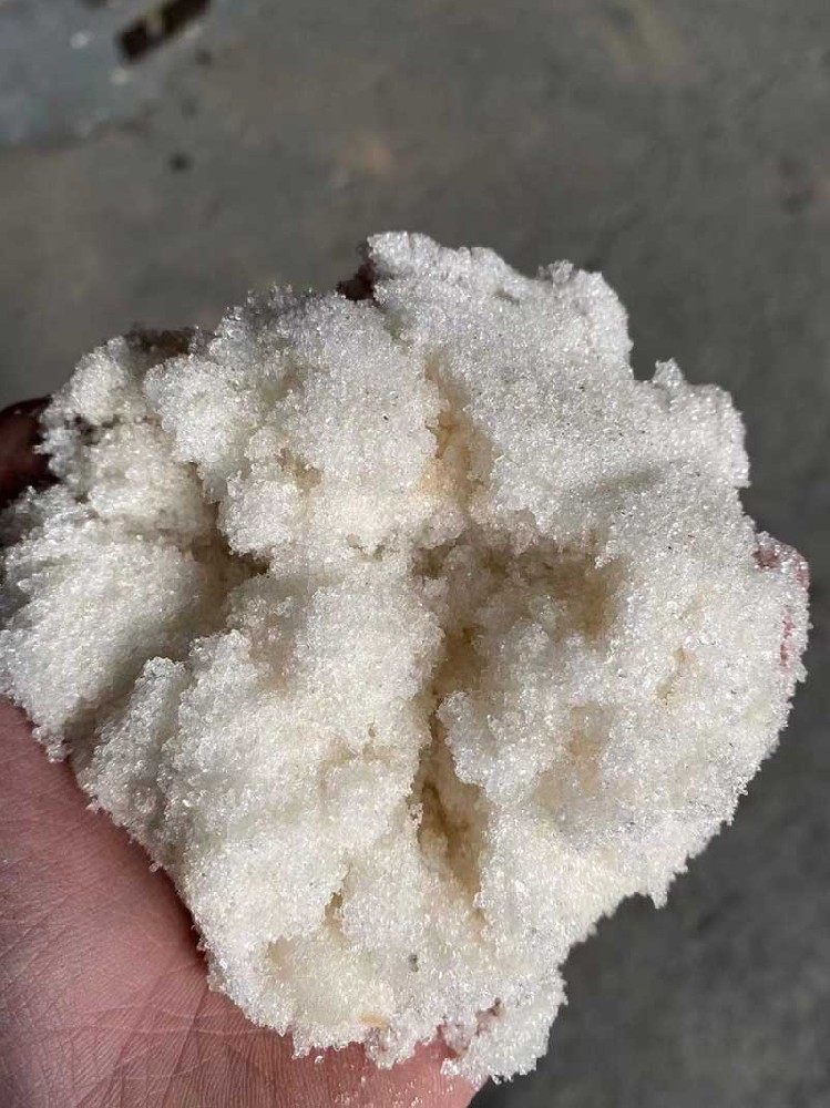 碳源